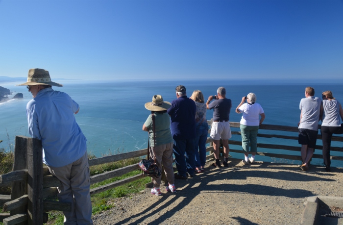 Klamath River Overlook people watching